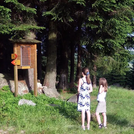 Angerhof Гостевой дом Dorfstetten