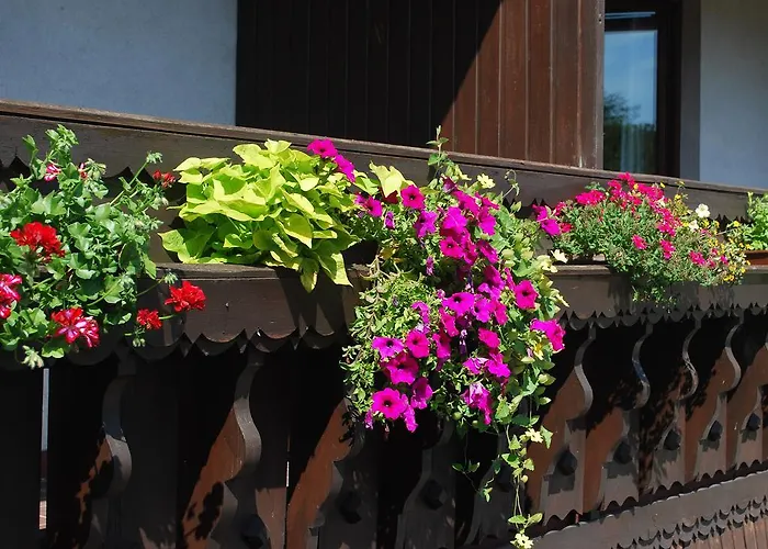 Angerhof Dorfstetten