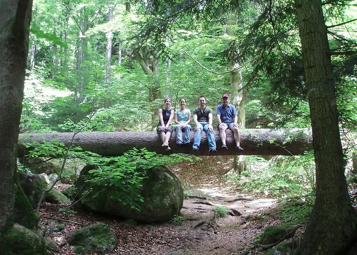 Angerhof Dorfstetten