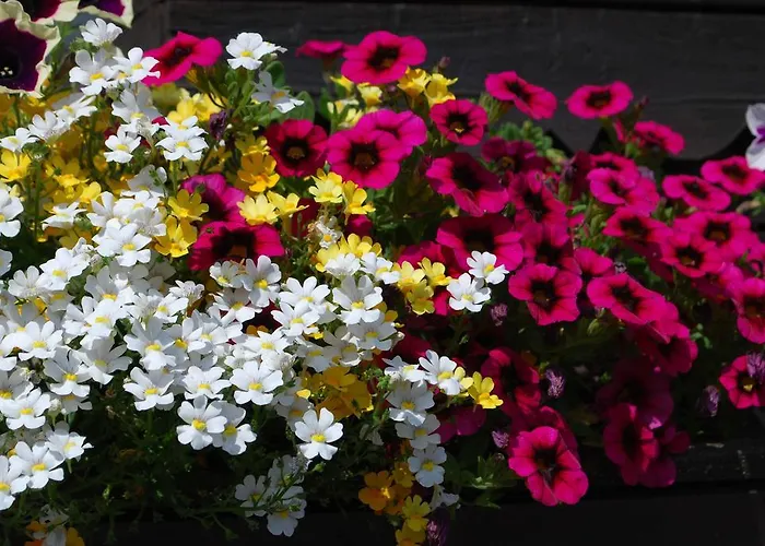 Maison d'hôtes Angerhof Dorfstetten